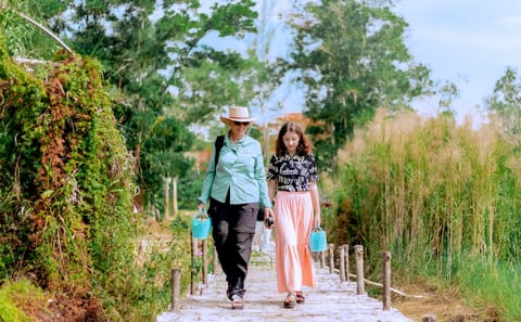 Phuket: Ethical Elephant Sanctuary Experience