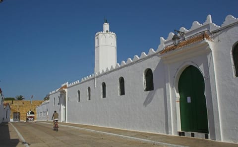 Day Trip Assilah – Private Guide & Driver