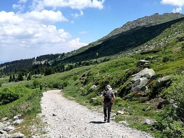 Hiking Tour of Vitosha Mountains and Cherni Vryh from Sofia