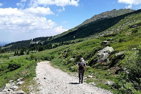 Hiking Adventure to Cherni Vrah Peak in Vitosha Mountains