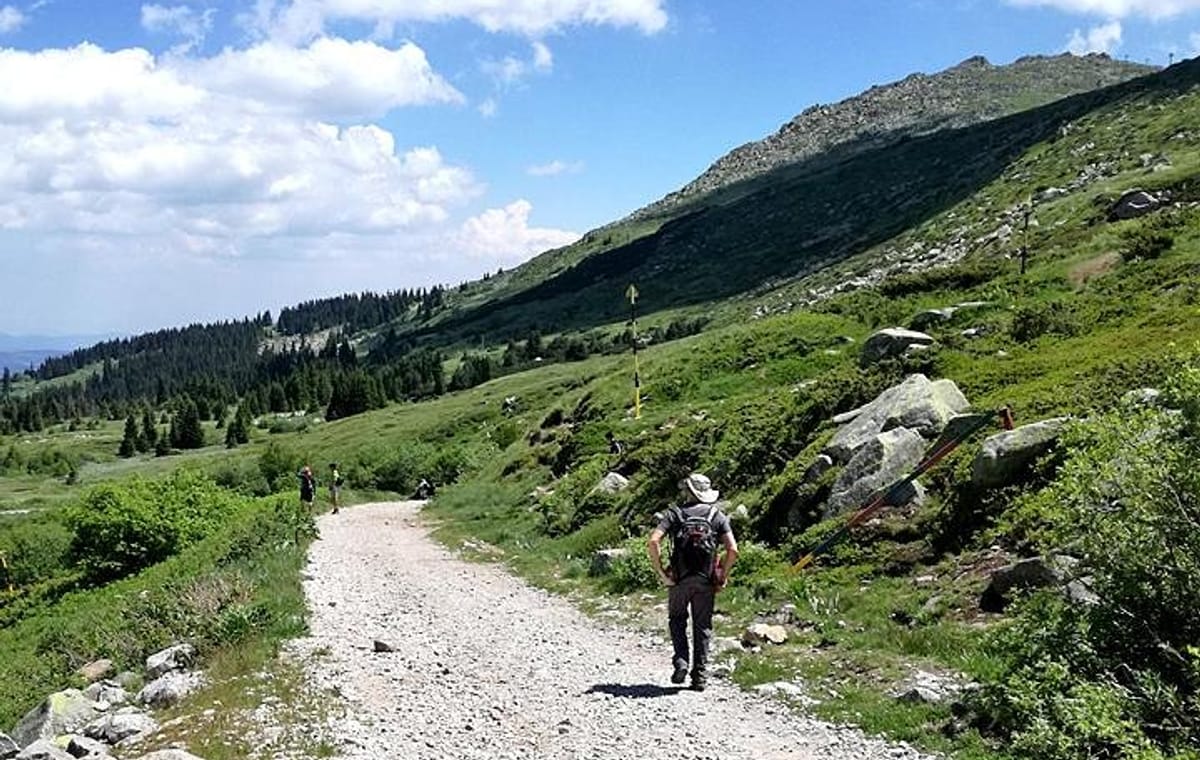 Hiking Tour of Vitosha Mountains and Cherni Vryh from Sofia
