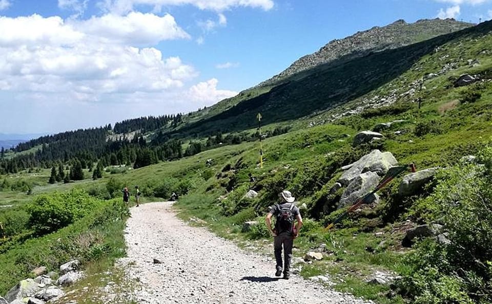 Hiking Tour of Vitosha Mountains and Cherni Vryh from Sofia
