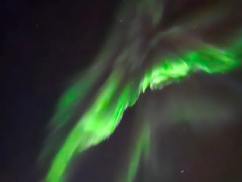 Northern Lights Cruise & The Reykjavík Food Walk, photo 2