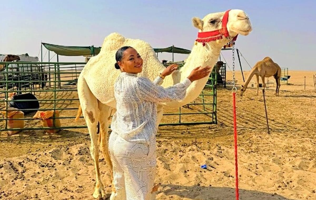 Full Day licensed Tours in Kuwait City & Desert PickUp & DropOff