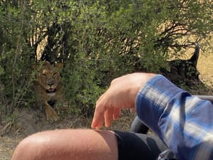 Hwange National Park 1  Day & Overnight Safari (BOOK NOW)