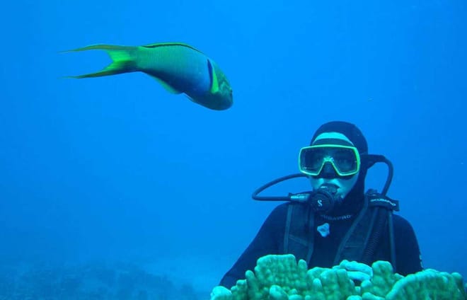 Private Full Day  Scuba Diving and Wine Tour From Santiago 10
