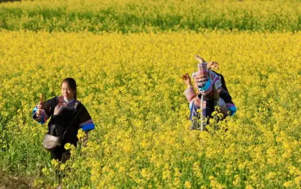 Hard-working villagers