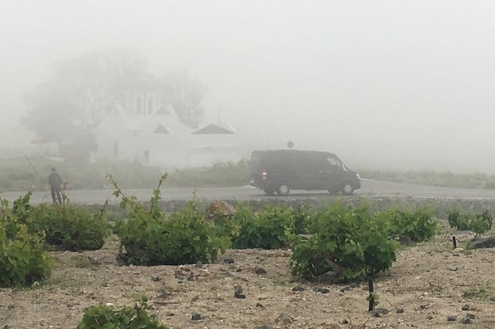 Vip Tour Giza pyramids, sphinx with Camel Ride and Vip lunch