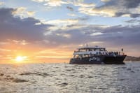 Sunset Dinner Cruise in Los Cabos 1