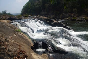 Athirapilly Waterfalls Day Trip from Cochin
