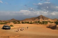 Discover Al Ain Forts and Oasis from Dubai 1