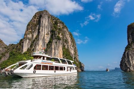 Alova Premium Cruise: Halong Bay Day Tour with Cave Visits & Island Fun