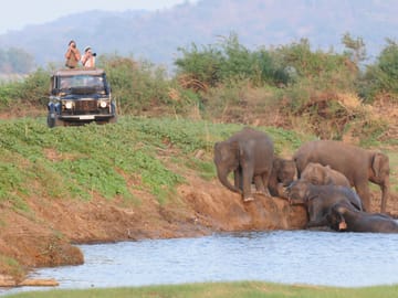 Kandy Adventure Day Tour: Hiking and Wildlife Exploration