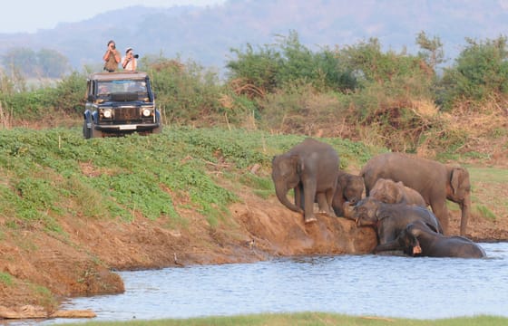 Habarana Adventure Day Tour