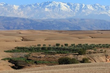 Camel Ride in Agafay Desert from Marrakech