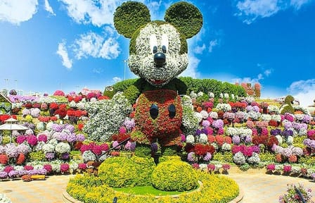 Pass Ticket to Miracle Garden from Dubai
