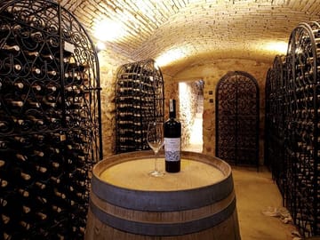 Boutique Winery and Wine Tasting Tour from Fez to Meknes