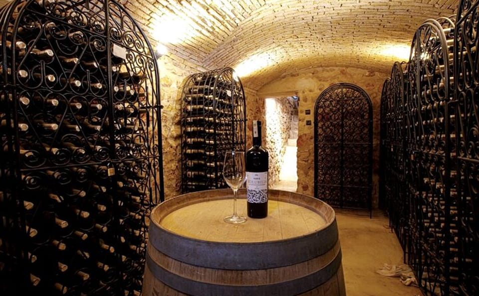 Boutique Winery and Wine Tasting Tour from Fez to Meknes