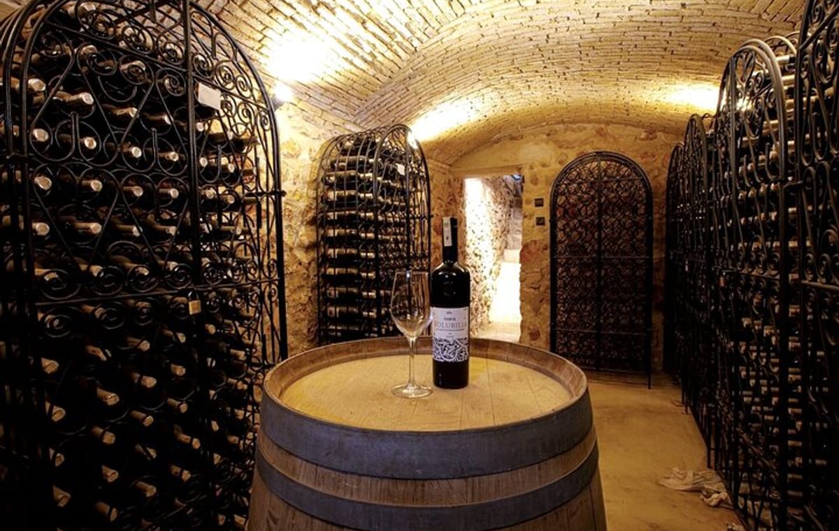 Full Day Boutique Winery and Wine Tasting Tour from Fez to Meknes