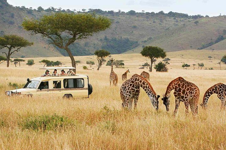 Nairobi Wildlife Adventure: Explore National Park, Karen Blixen & Culture