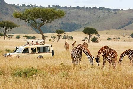 Nairobi Wildlife Adventure: Explore National Park, Karen Blixen & Culture