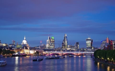 New Year's Eve Fireworks Cruise in London with Unlimited Drinks