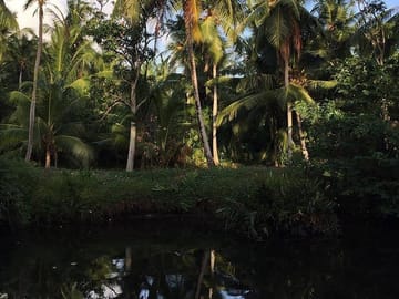 Negombo Lagoon & Muthurajawela Bird Watching Boat Tour
