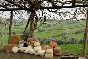 Pecorino Cheese di Pienza Tour
