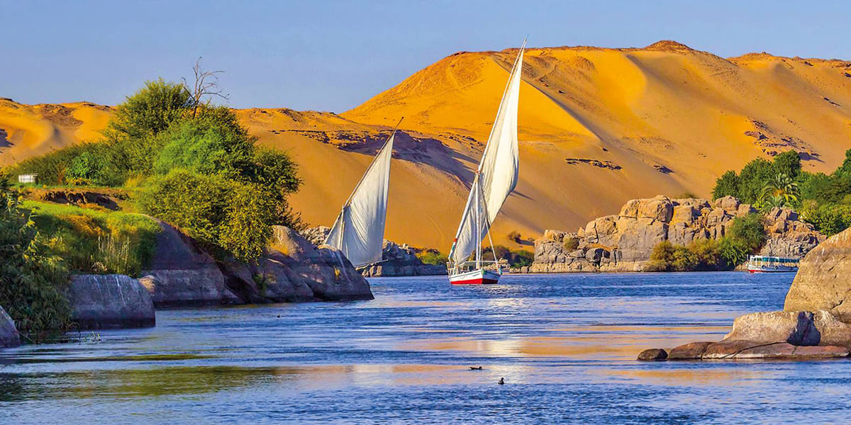 Aswan: Day Tour to Luxor from Aswan: Discover the Best of Luxor City
