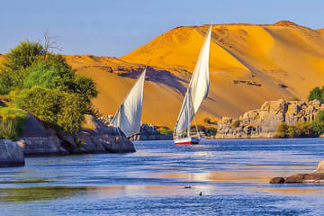 Day Tour from Aswan to Explore Luxor's Ancient Treasures