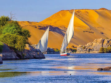 Day Tour from Aswan to Explore Luxor's Ancient Treasures
