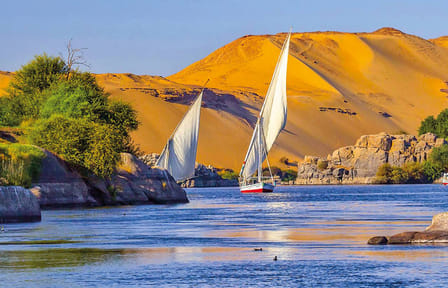 Day Tour from Aswan to Explore Luxor's Ancient Treasures