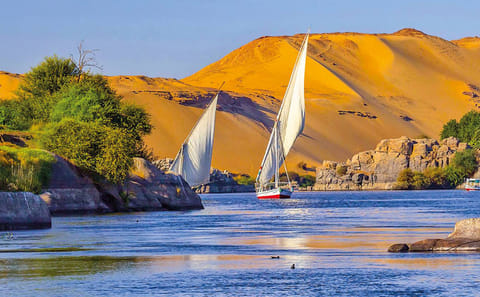 Day Tour from Aswan to Explore Luxor's Ancient Treasures