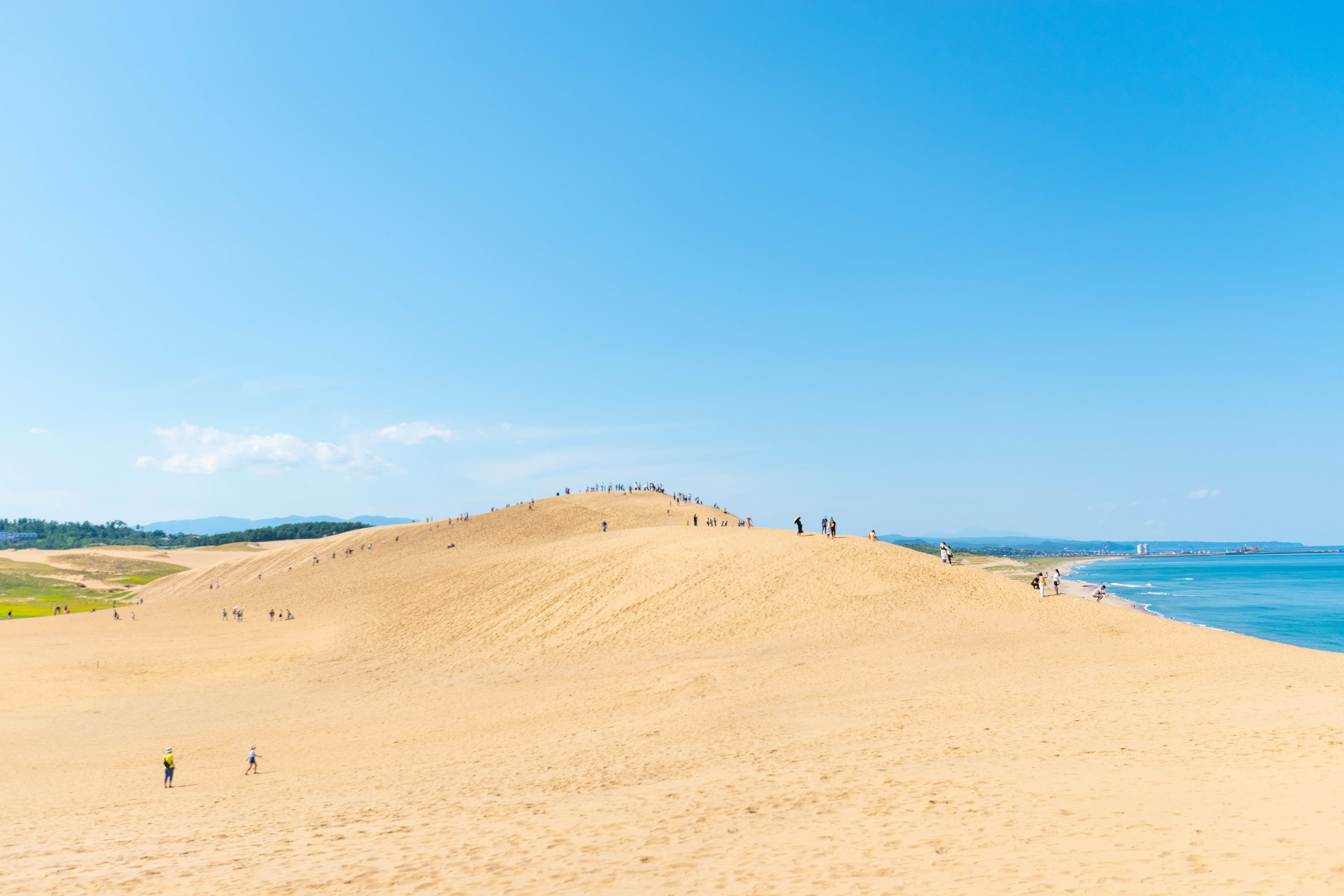 Tottori Custom Day Tour