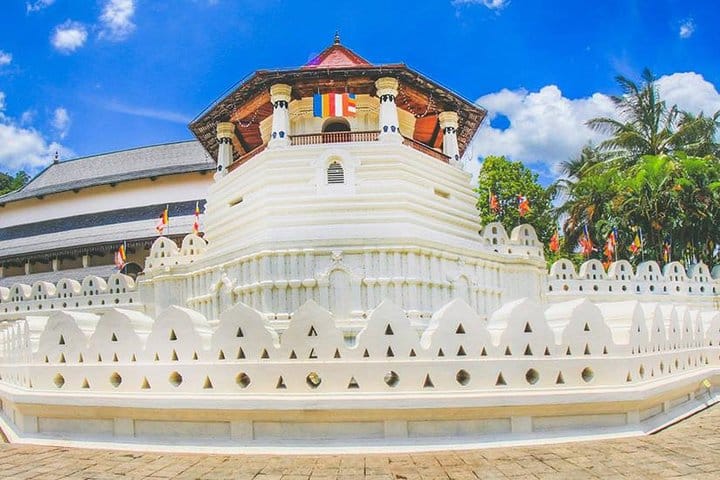 05 Days Glimpse Of Sri Lanka