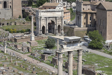 Visita Guiada Coliseo, Foro Romano y Palatino