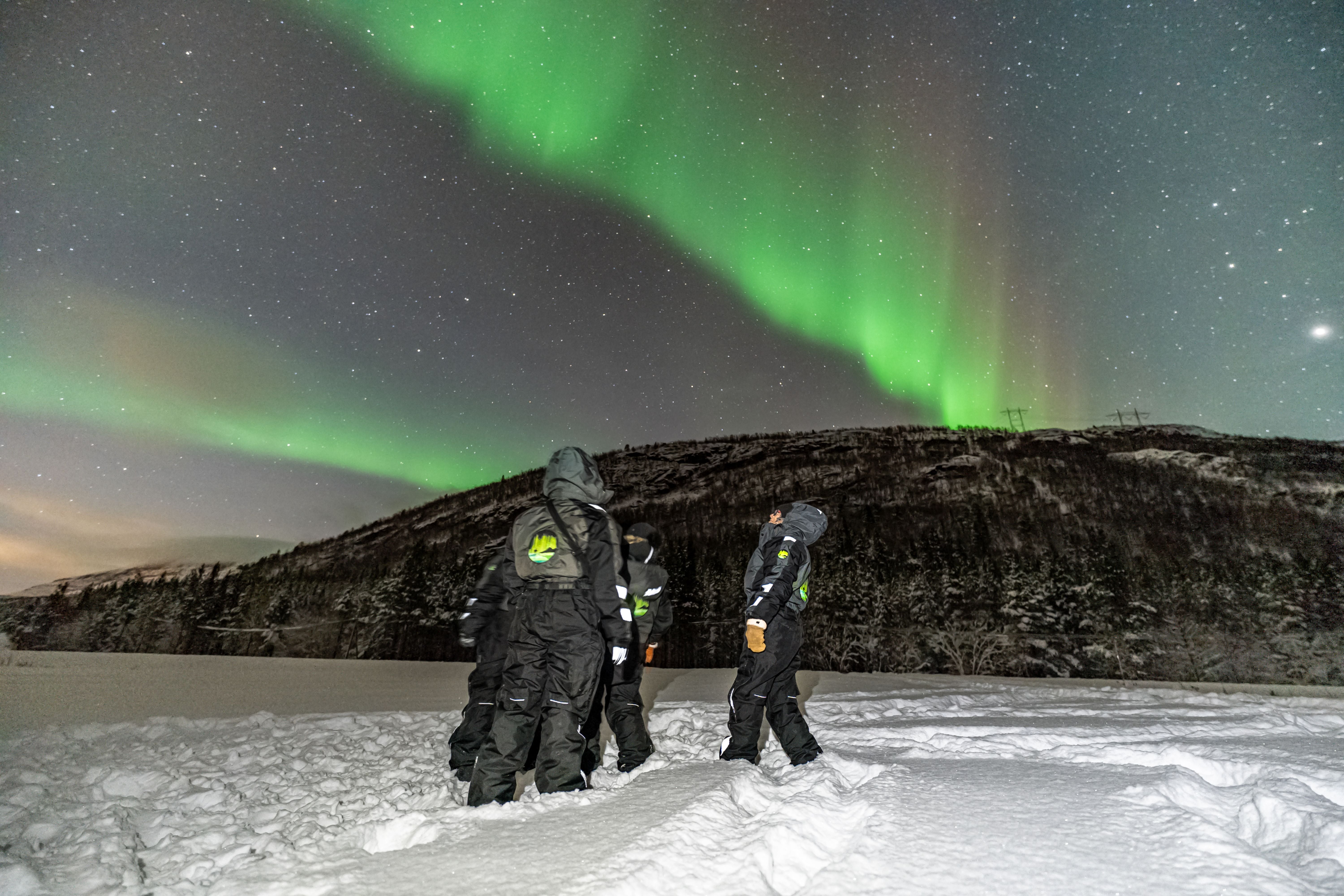 Small group of travelers in dark thermal suits standing in deep snow watching a sweeping green Northern Lights display.