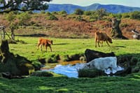Fascinated Landscapes Northwest 4x4 excursion 9
