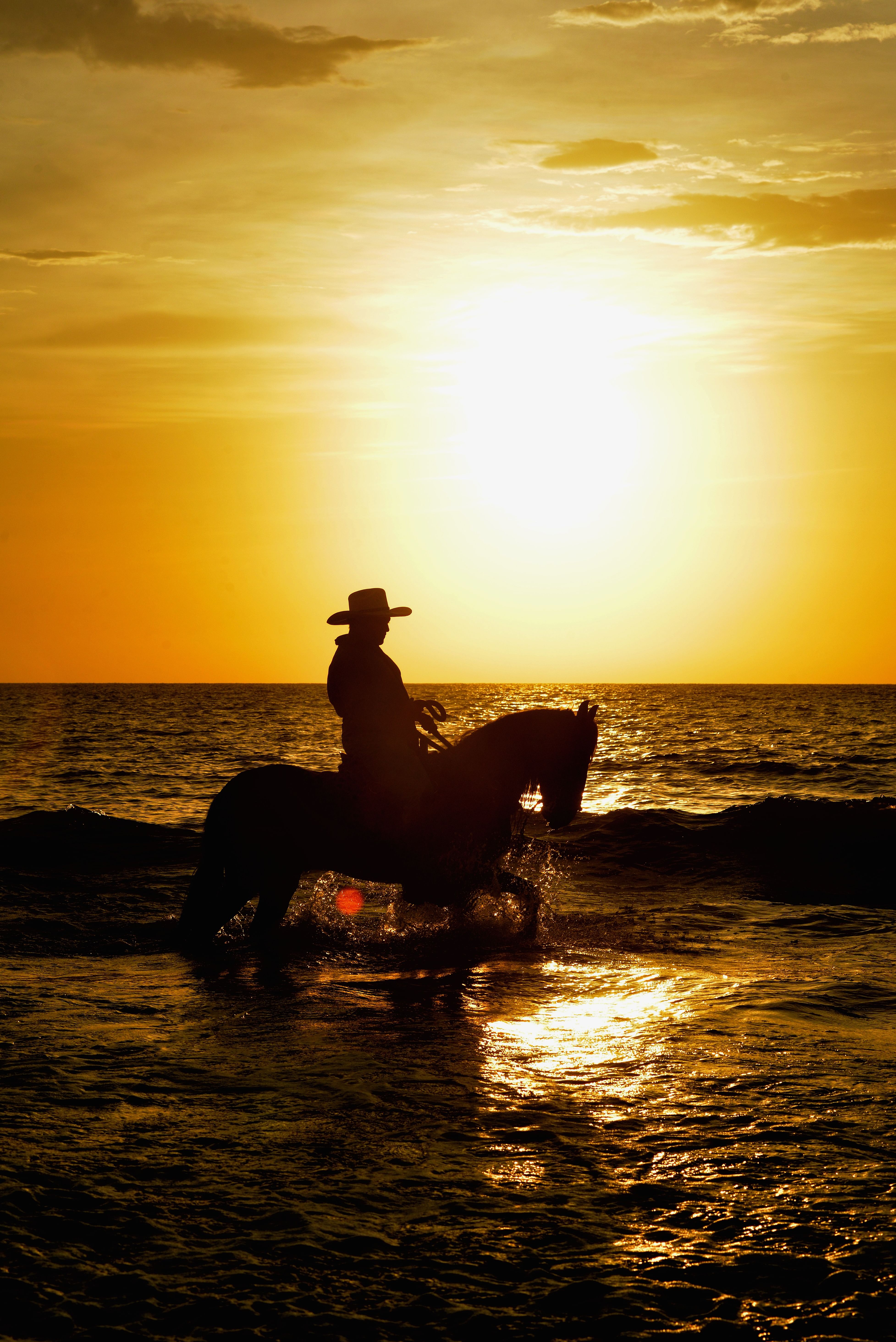 Cabalgata en Caballo de Paso fino en la playa
