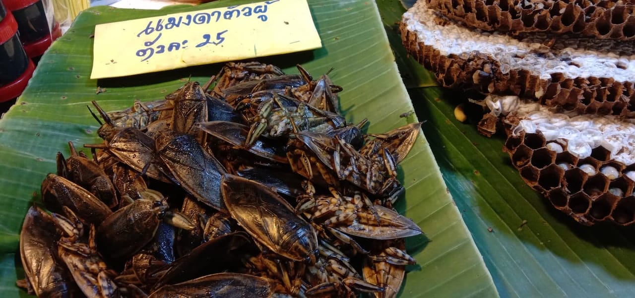 Lampang-Lampoon Day Trip 9