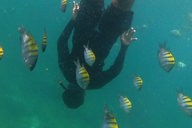 unparalleled snorkeling