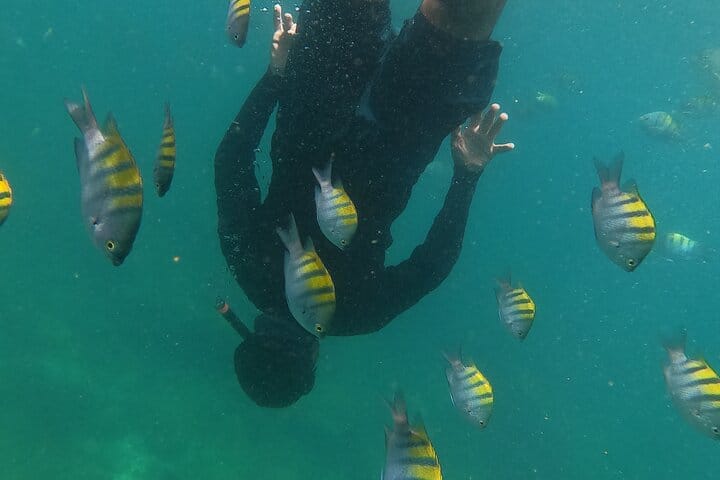 unparalleled snorkeling