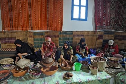 Ourika Valley Group Day Tour from Marrakech via Atlas Mountains