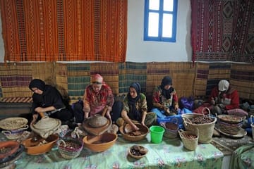 Group Day Tour to Ourika Valley from Marrakech