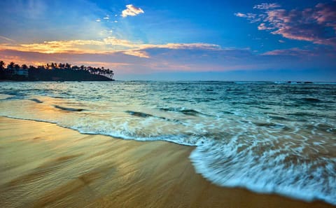 Full Day Beach and Culture Tour in Bentota and Beruwala
