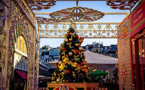 Explore London's Christmas Lights and Festive Sights Tour