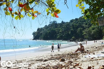 Full-Day Guided Tour of Manuel Antonio National Park