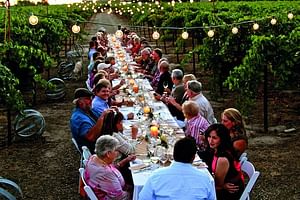 Dinner in the Vineyards from Florence