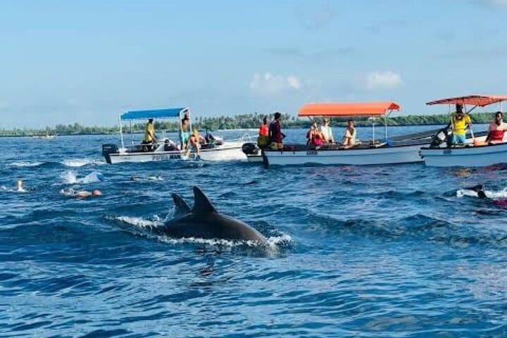 Zanzibar Salaam Cave Swimming and Feeding Sea Turtle in Kizimkazi
