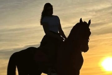 Camel and Horse Riding Tour in Hurghada's Beach or Desert